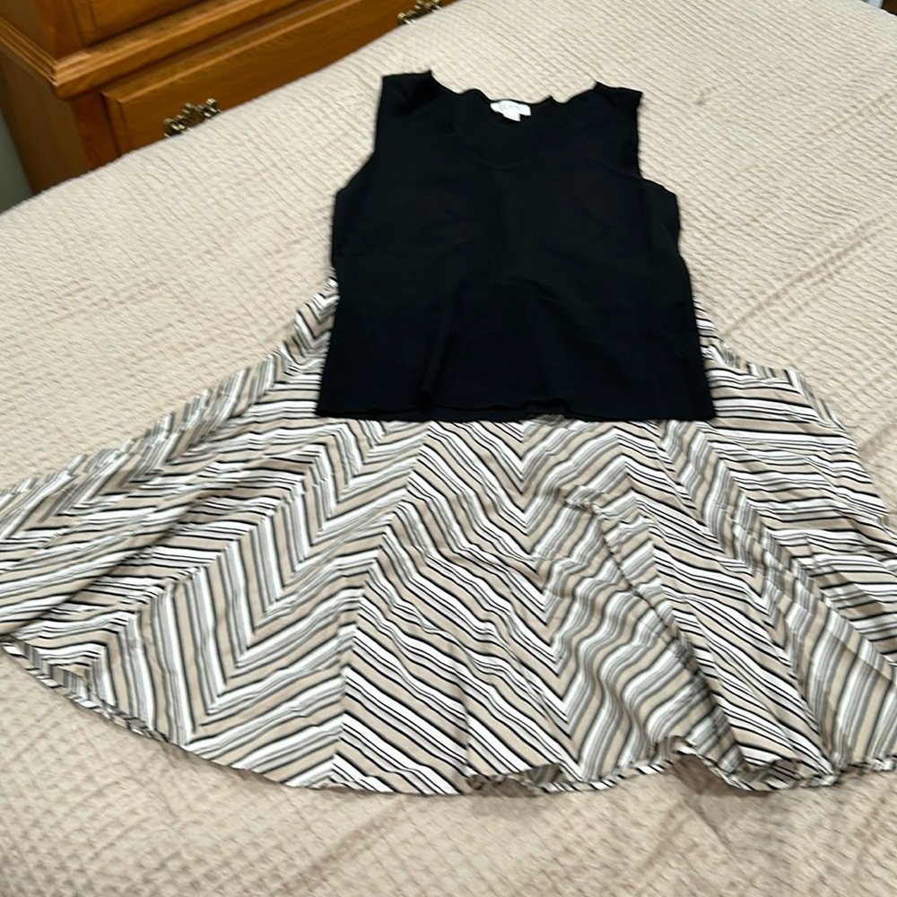 Ann Taylor cute ensemble; worn twice. Skirt: size 12, tank top: size Large